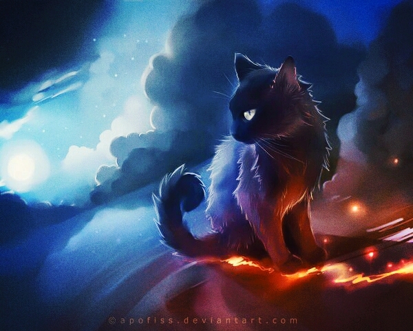 lava-storm cat?