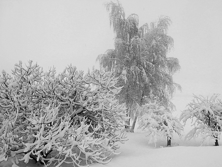 winter