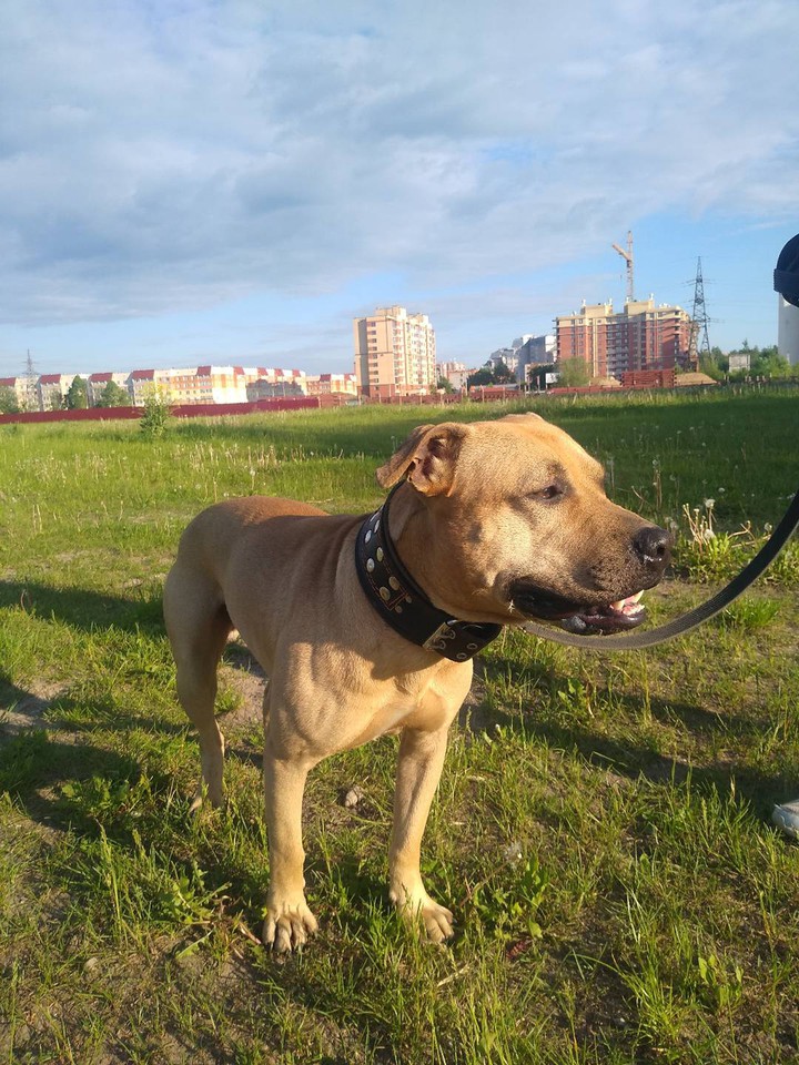 pit
