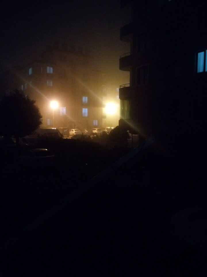 night