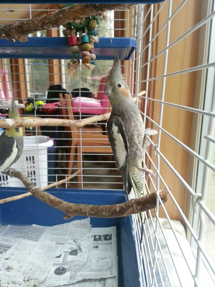 Whats over there