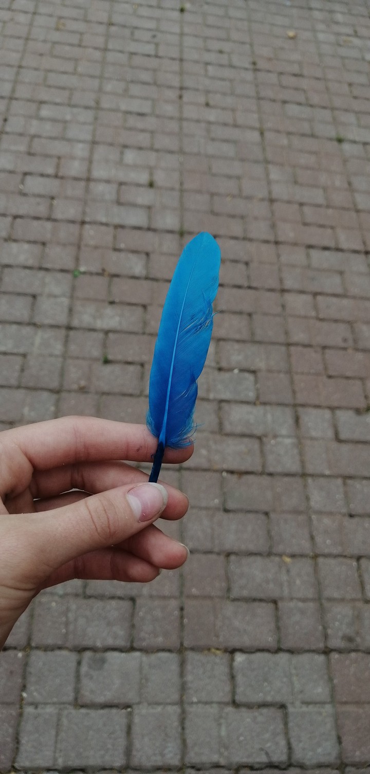 .