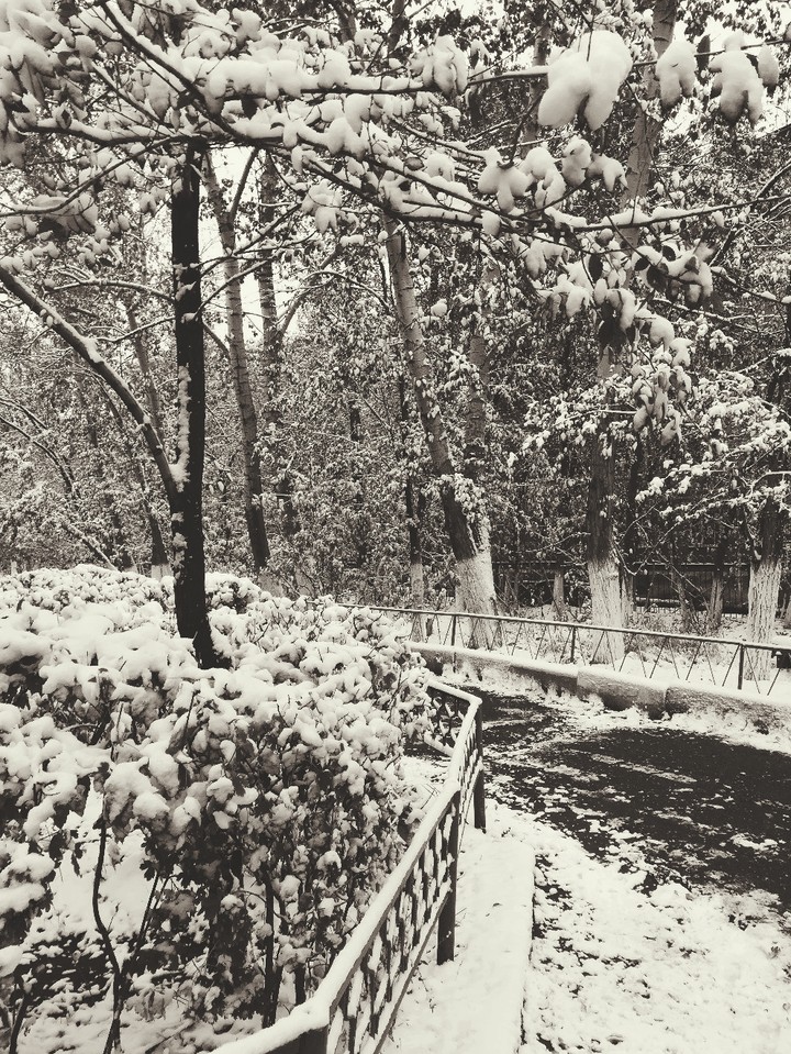 Snow
