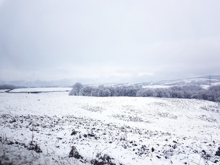 Snow