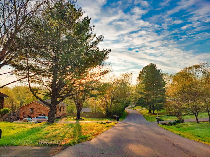 Early morning