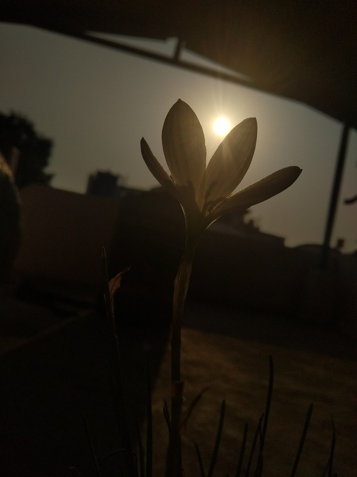 sunset and the shadow