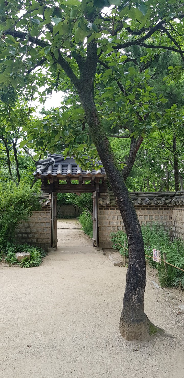 문