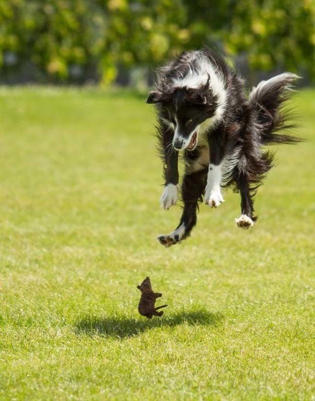 Jump