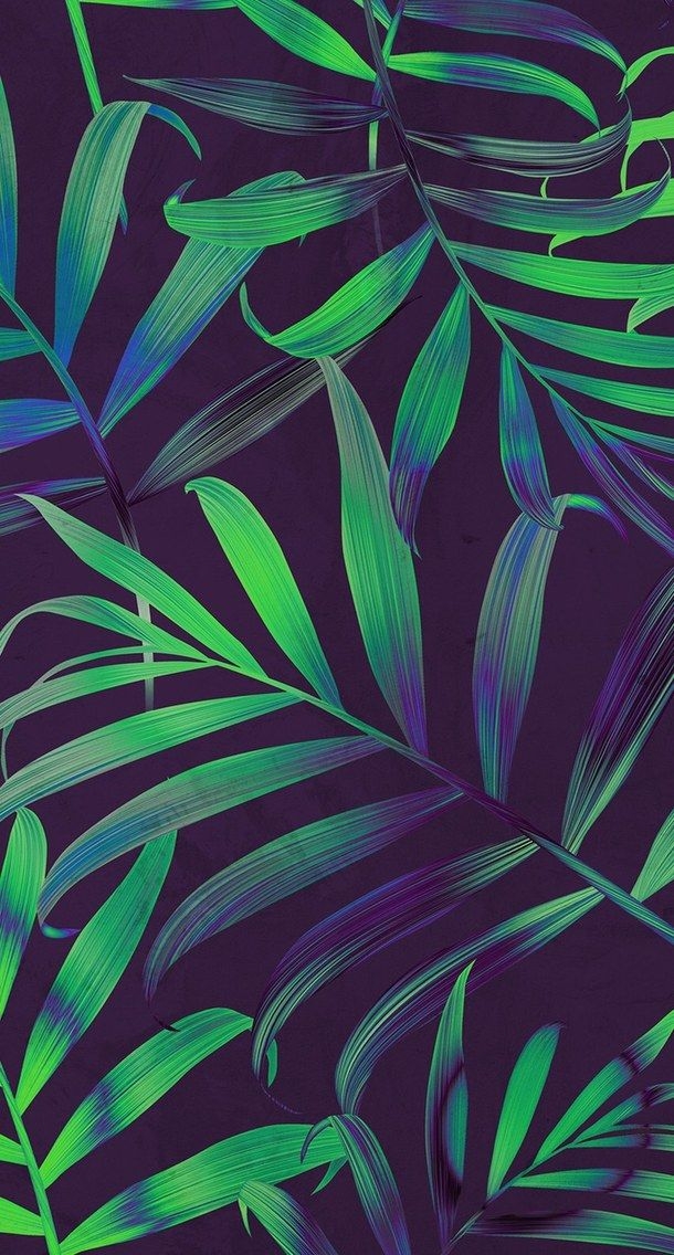 Jungle