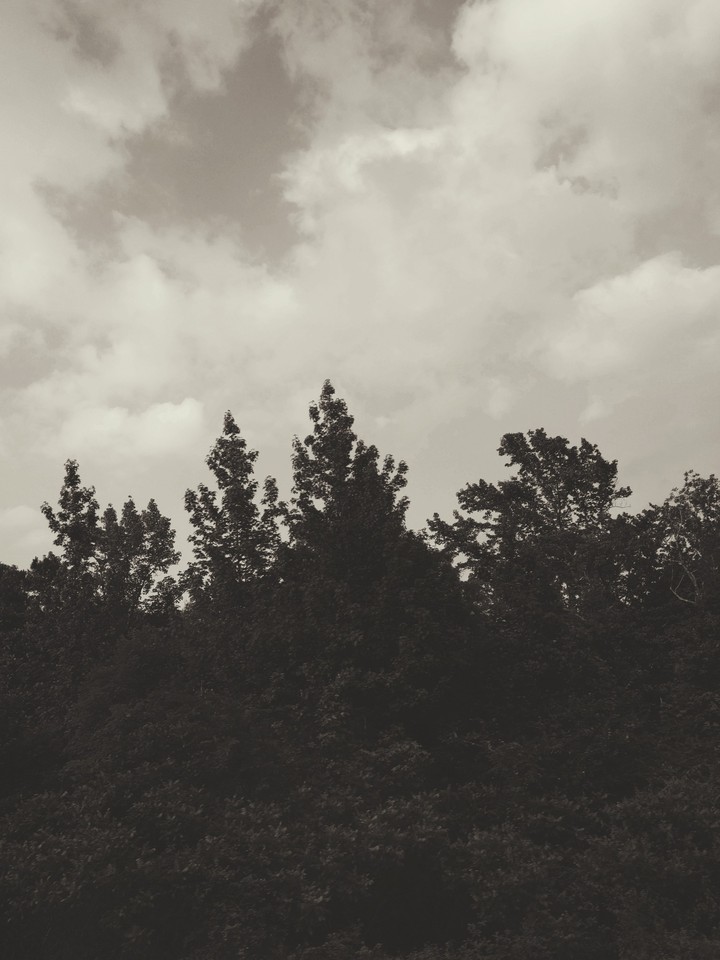 Line of Sight