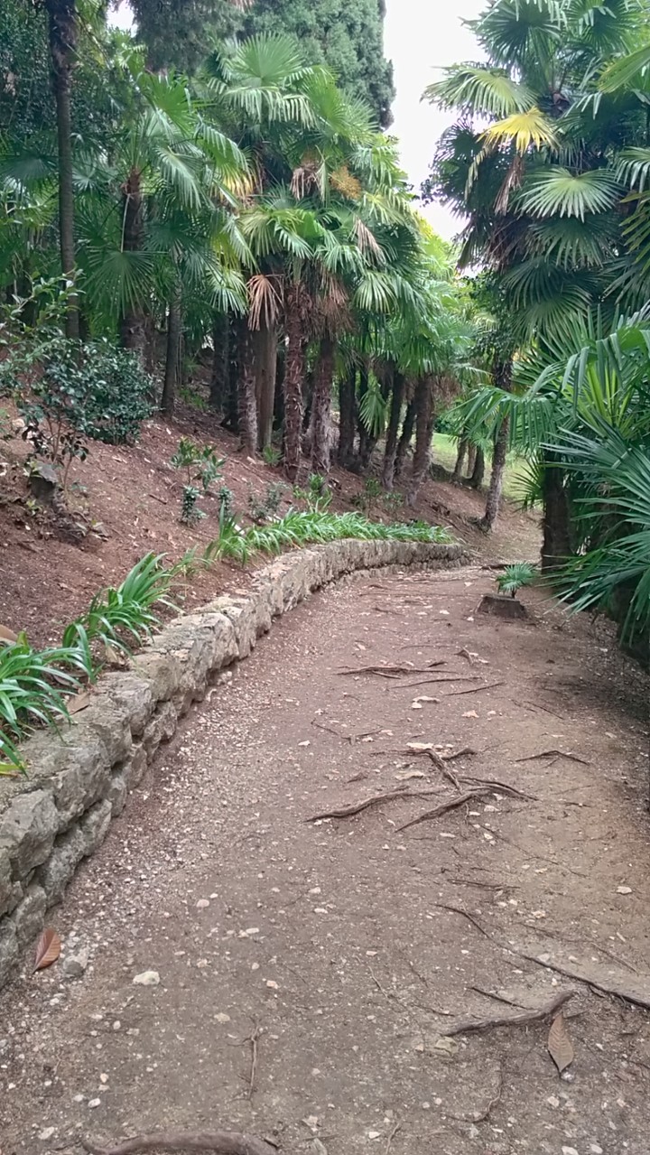 let us walk..