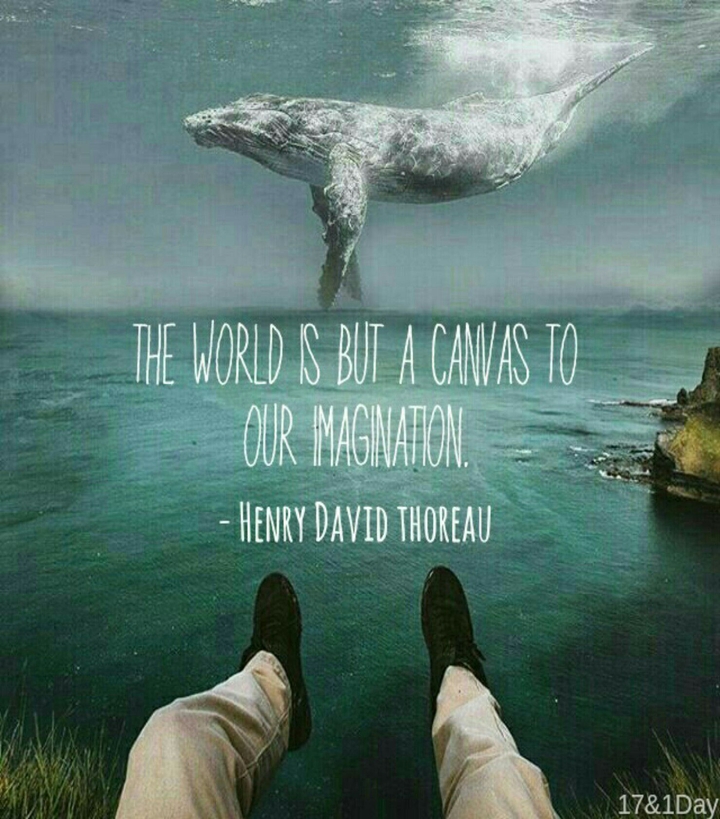 Quote