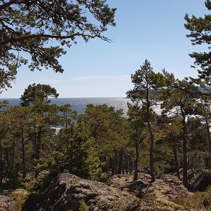 view