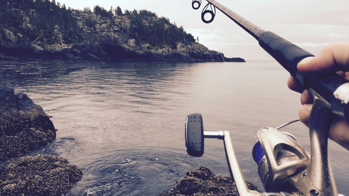 Hd fishing