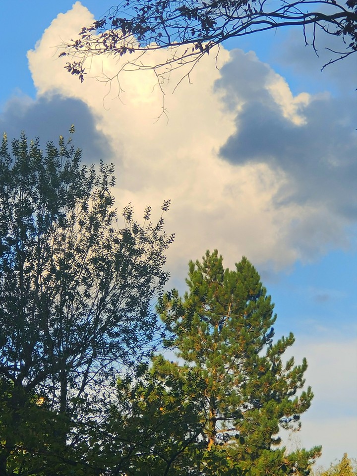Evening Clouds