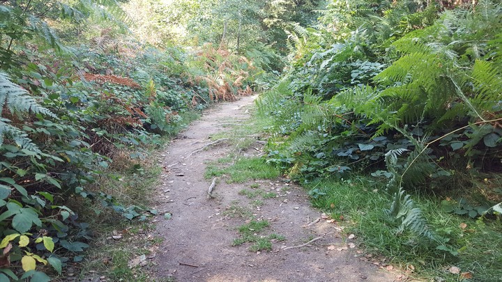 Saarschleife Wanderweg