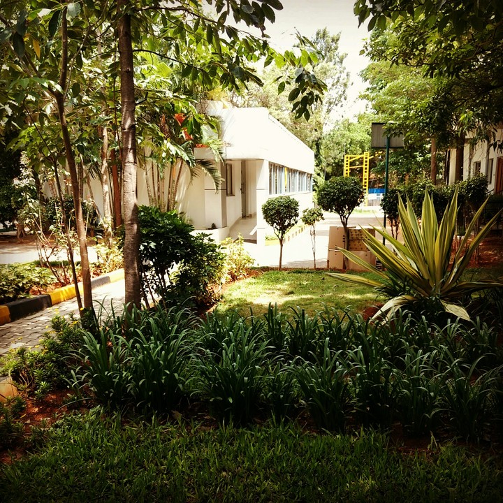 Trees...