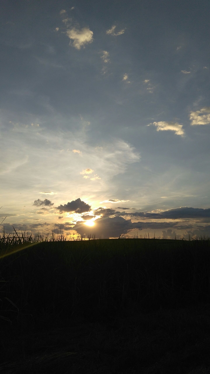 sun