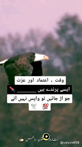 Indeed