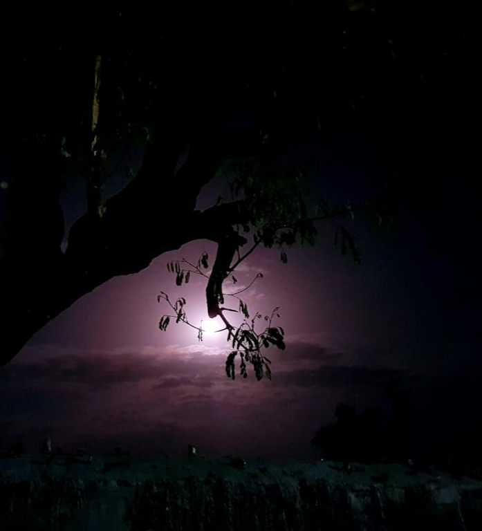 moon