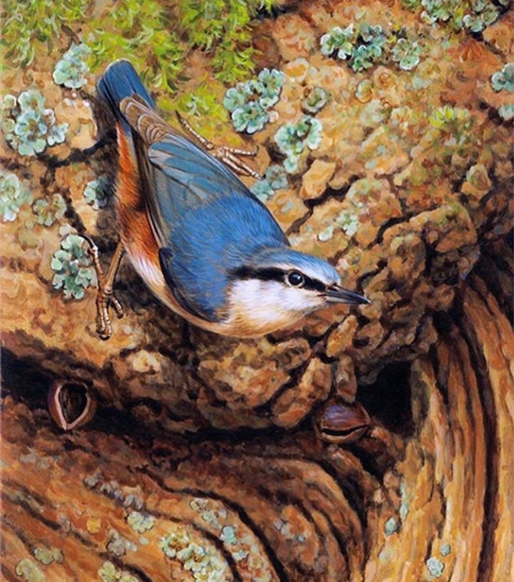 Bird