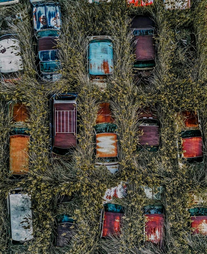 Cars