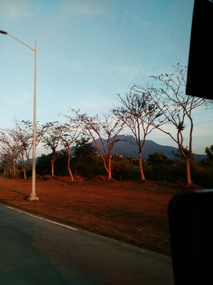 Trip
