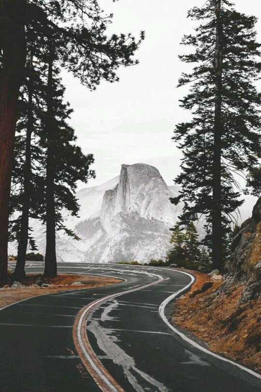 Road