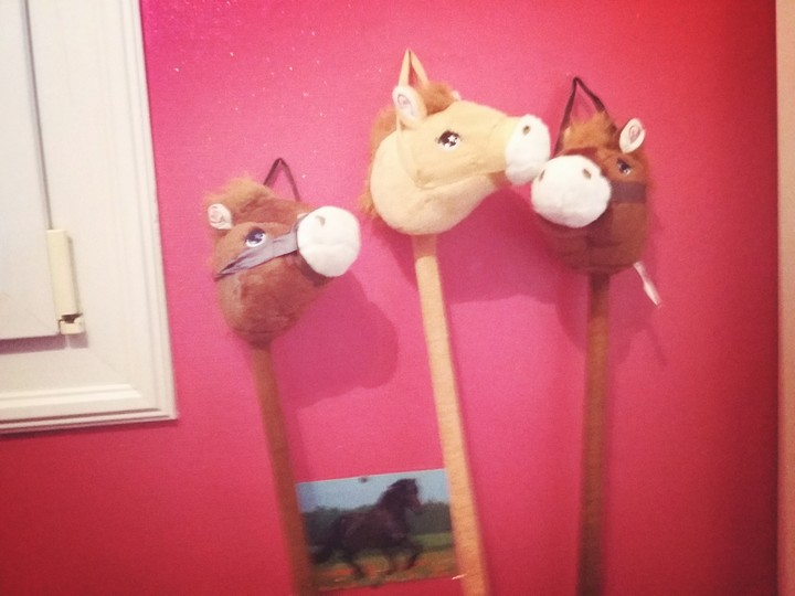 mes  chevaux