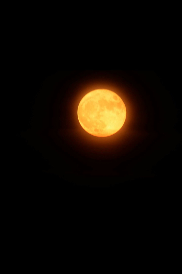 November Super Moon