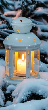 winter