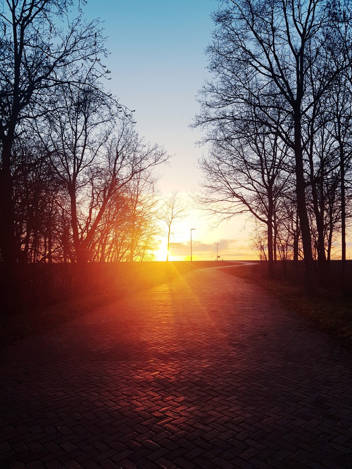 Sunshine path