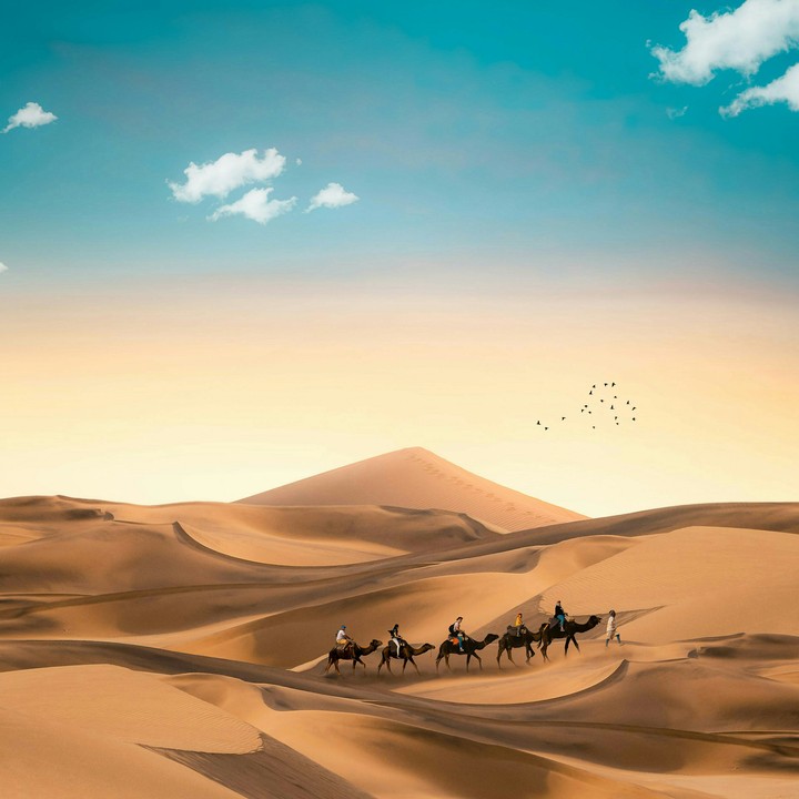 desert ?
