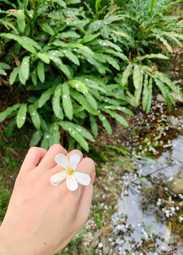 flower ring