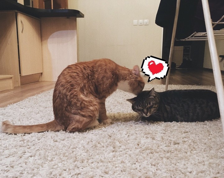 ♡♡♡