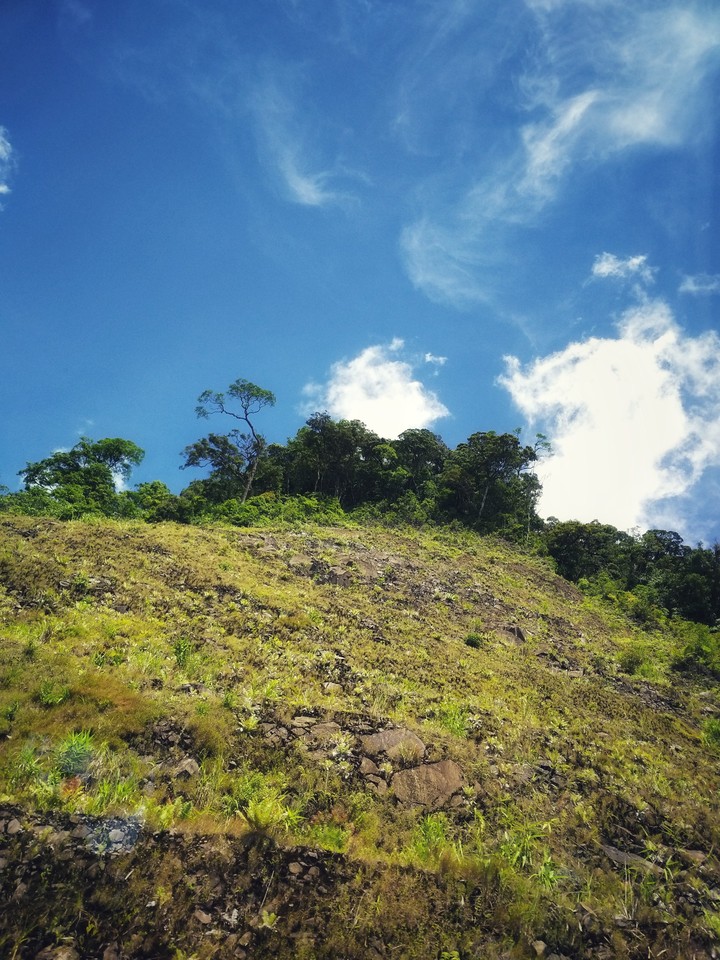 hill