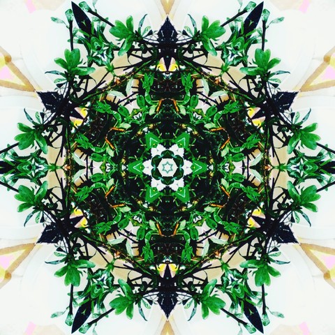 Green mozaic