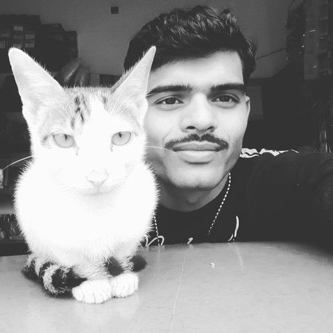 My beautiful cute ? cat
