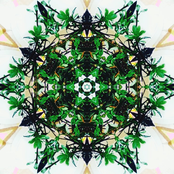 Green mozaic