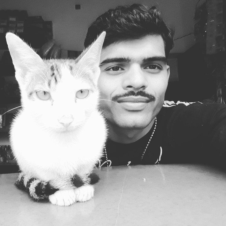 My beautiful cute ? cat