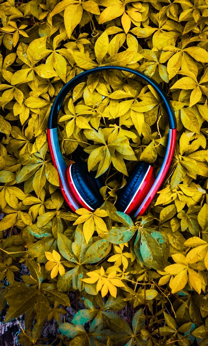 feel the music
