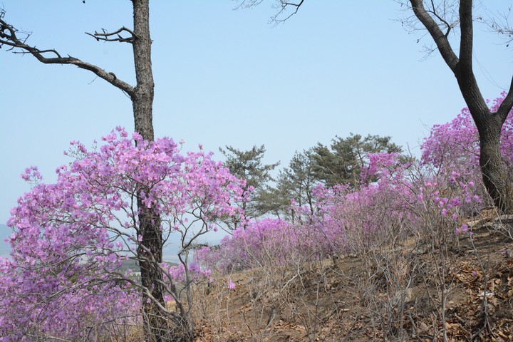 풍경이미지