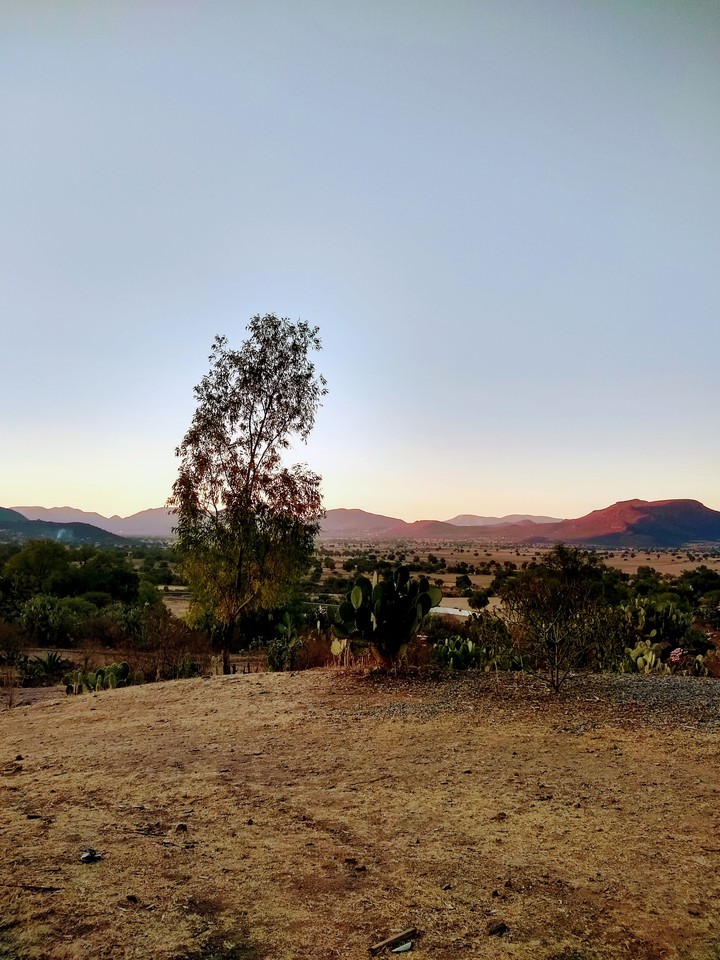 México