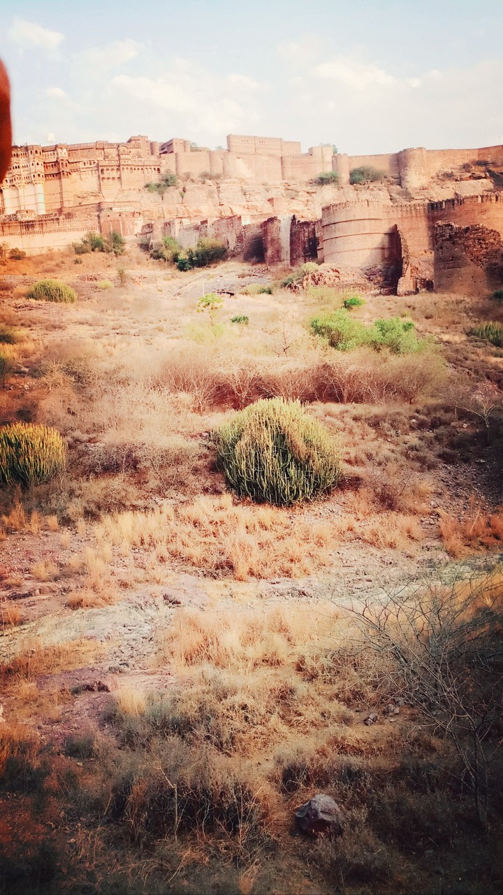 mehrangarh fort with rock garden