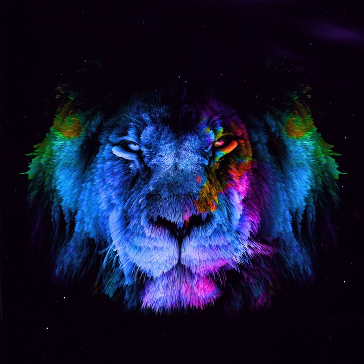 lion