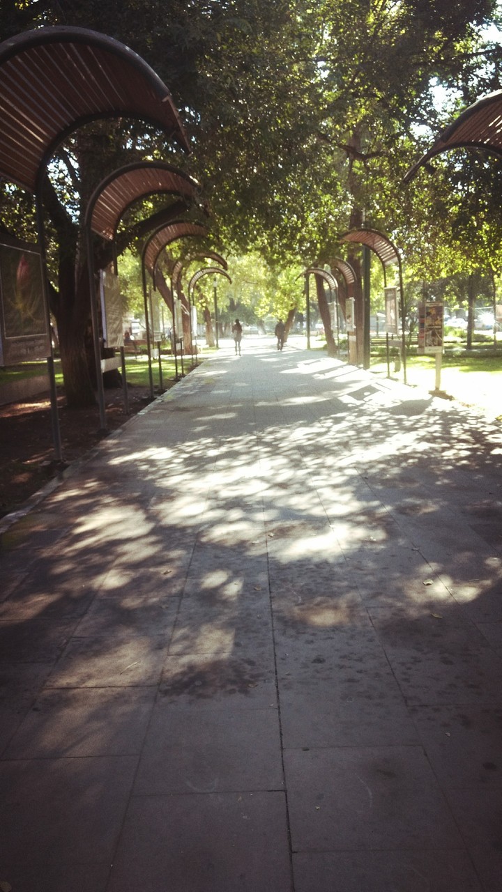 caminando