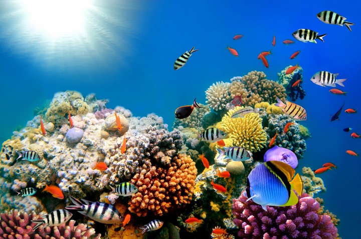 Underwater
