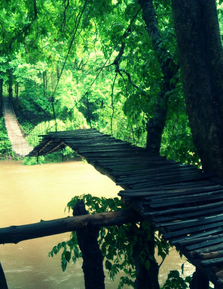 Nature's bridge