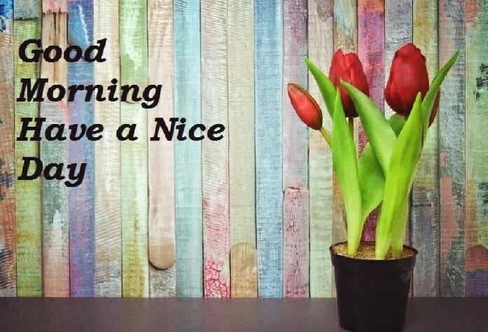 good morning!