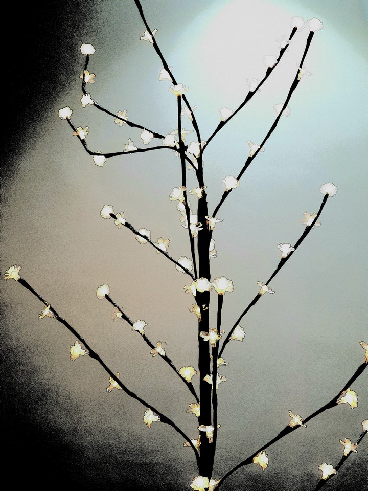 lighting